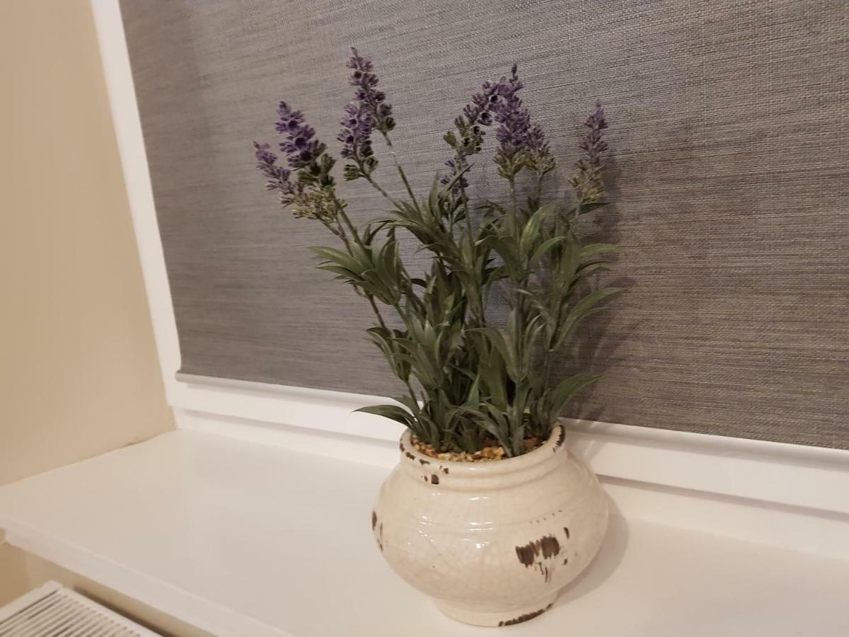 Smart & Cozy Holiday Apartment In The City Centre Ίνβερνες Εξωτερικό φωτογραφία
